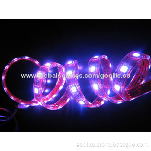 IP67 RGB 5050 color change LED strip, waterproof